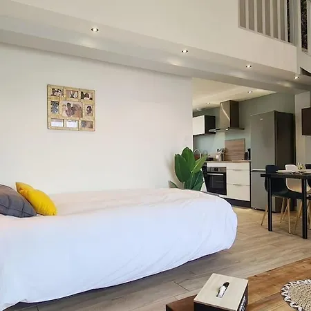 Le Lion D'or 公寓 *