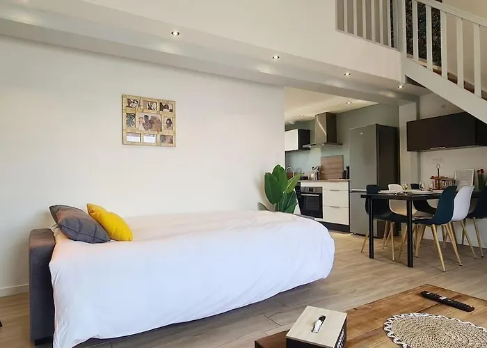 Le Lion D'or Apartment *